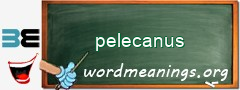 WordMeaning blackboard for pelecanus